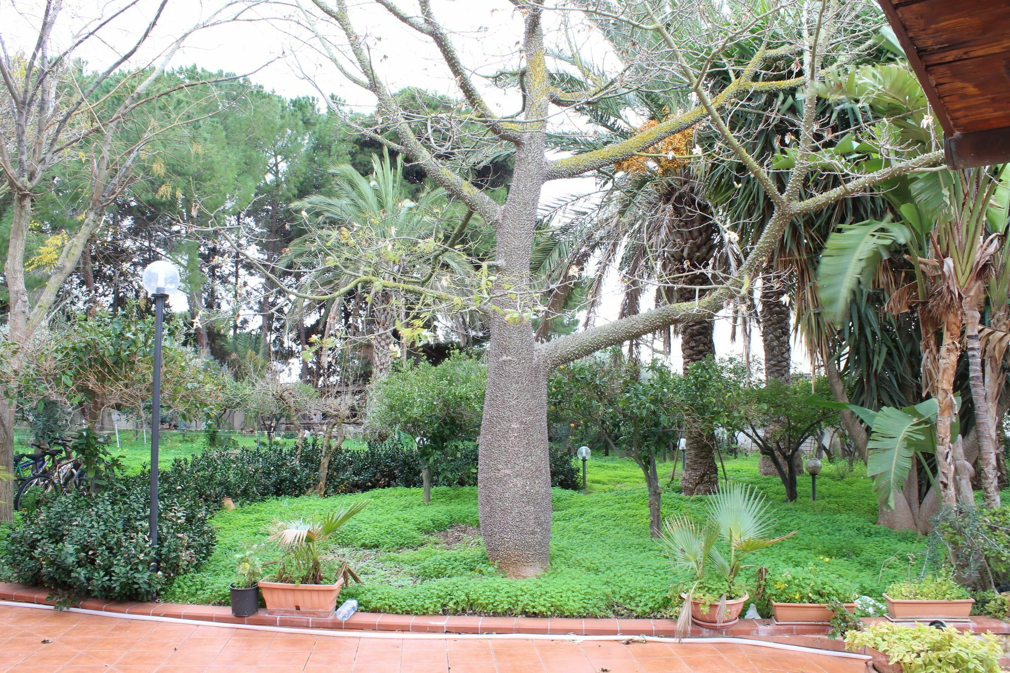 Villa Delle Nifee مازارا ديل فالو المظهر الخارجي الصورة